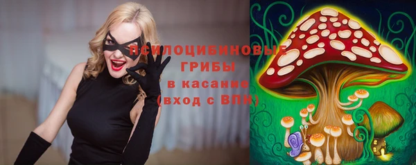 соль ск Володарск