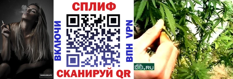 Канабис ГИДРОПОН  Гагарин 